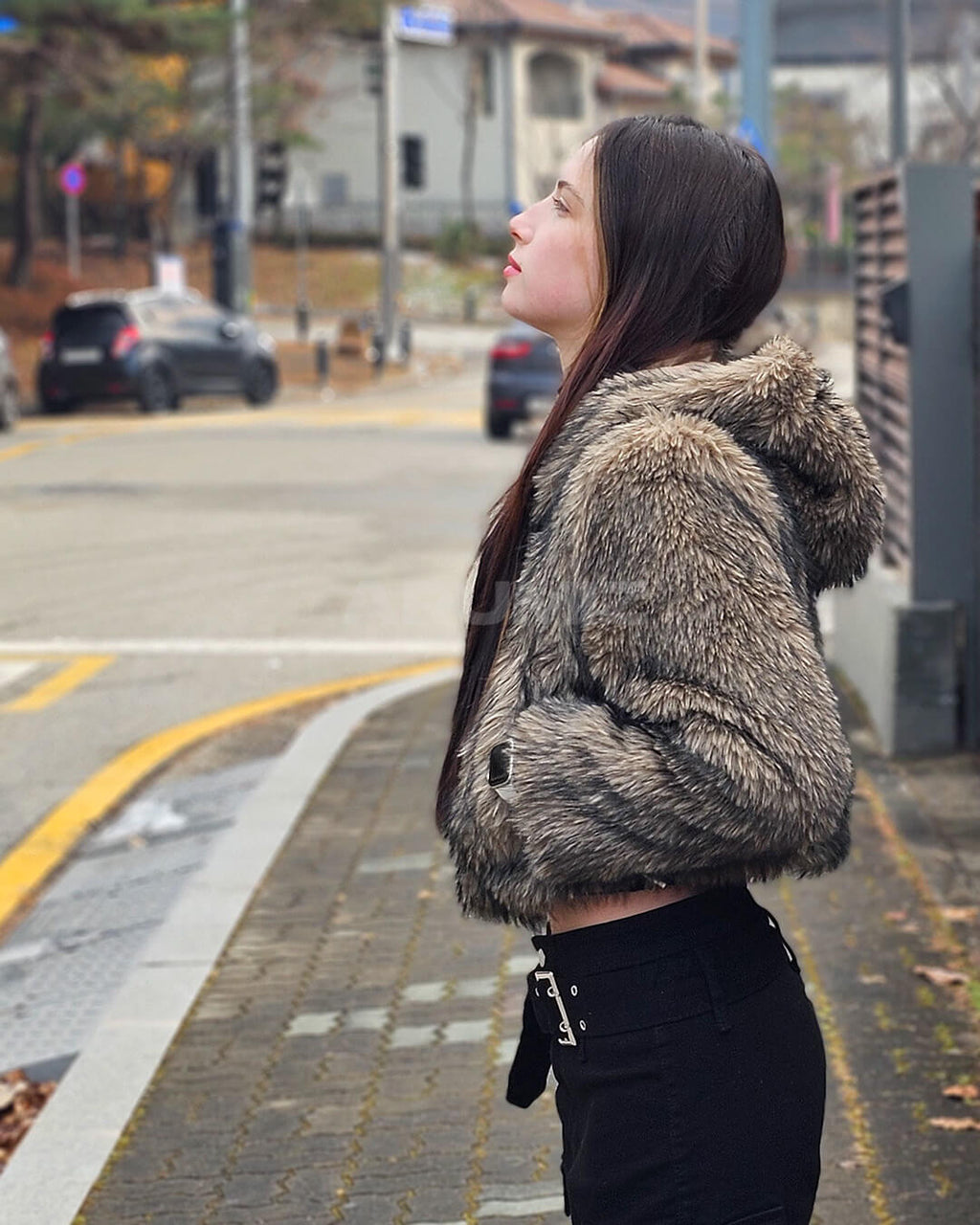 Wolf Faux Fur Hooded Cropped Jacket