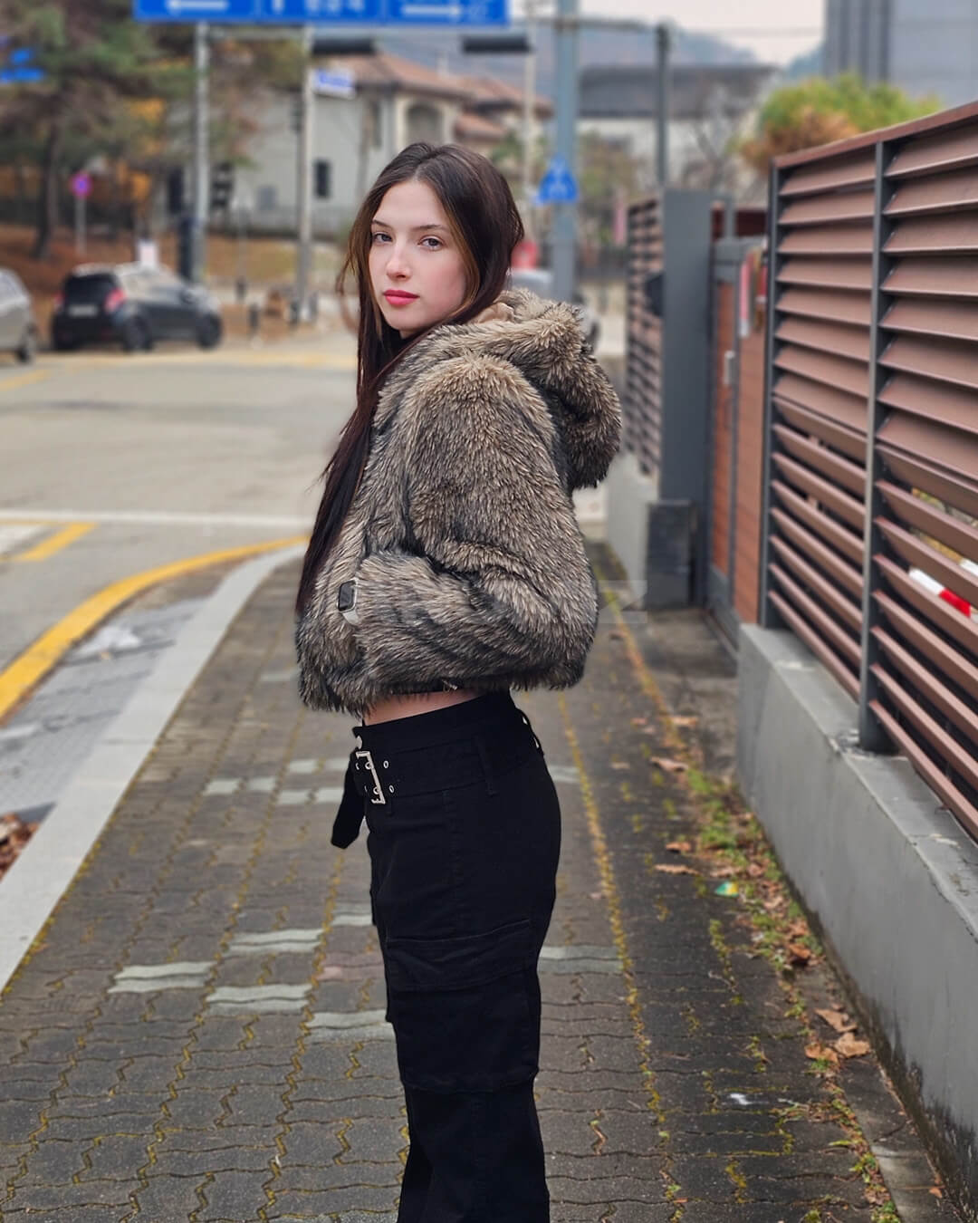 Wolf Faux Fur Hooded Cropped Jacket