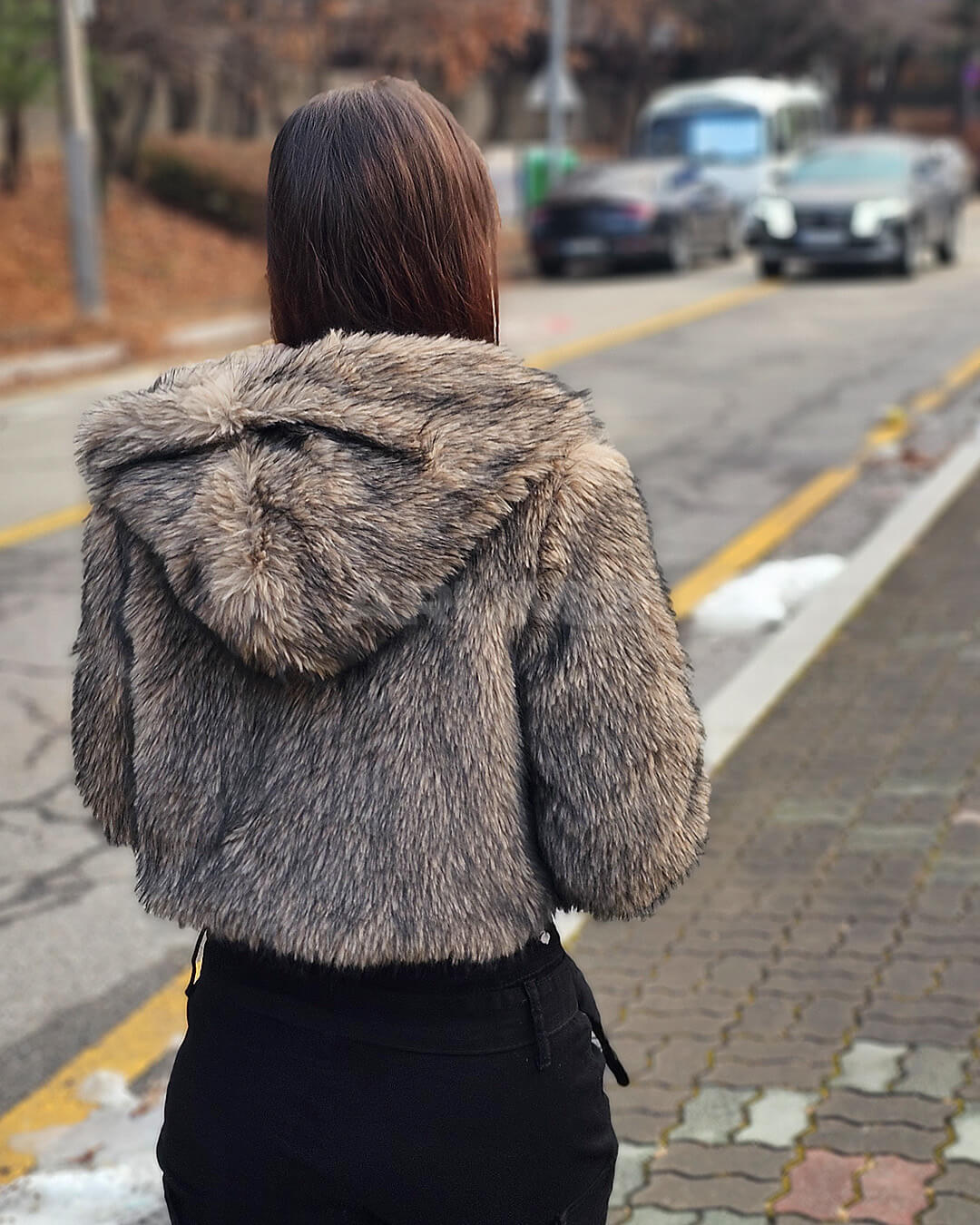 Wolf Faux Fur Hooded Cropped Jacket